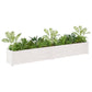 Plantenbakken 2 St 200X31X31 Cm Massief Grenenhout Wit