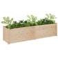 Plantenbak 200X50X50 Cm Massief Grenenhout