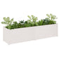 Plantenbak 200X50X50 Cm Massief Grenenhout Wit