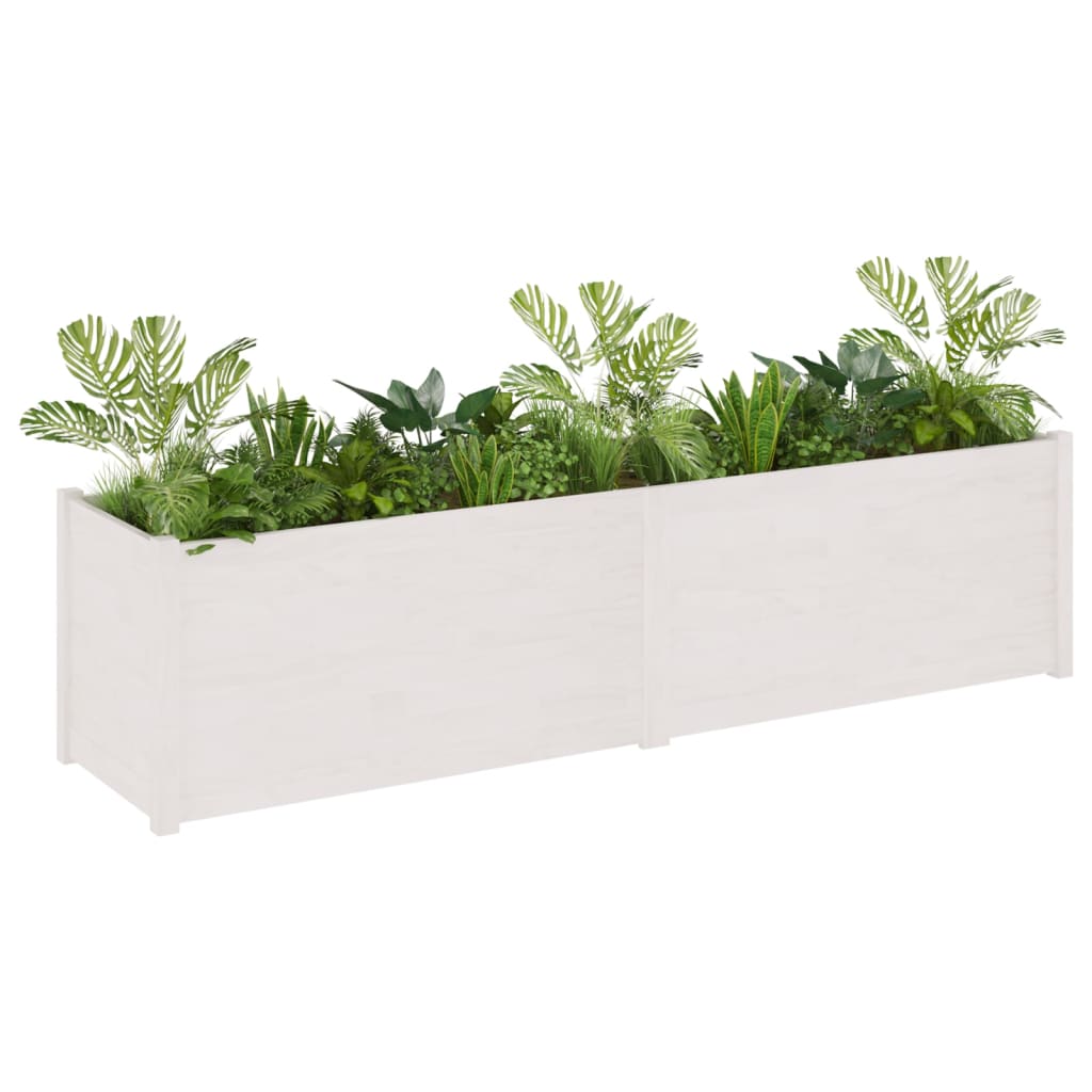 Plantenbak 200X50X50 Cm Massief Grenenhout Wit