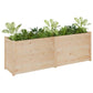 Plantenbak 200X50X70 Cm Massief Grenenhout