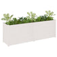 Plantenbak 200X50X70 Cm Massief Grenenhout Wit