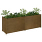 Plantenbak 200X50X70 Cm Massief Grenenhout Honingbruin