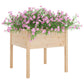 Plantenbakken 2 St 70X70X70 Cm Massief Grenenhout
