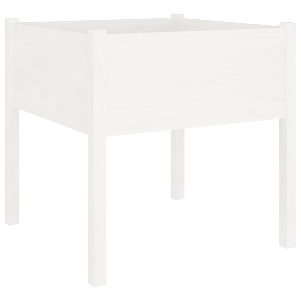 Plantenbak 70X70X70 Cm Massief Grenenhout Wit