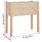 Plantenbakken 2 St 70X31X70 Cm Massief Grenenhout