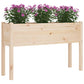 Plantenbakken 2 St 110X31X70 Cm Massief Grenenhout