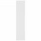 Boekenkast/Kamerscherm 100X30X135 Wit