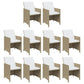 11-Delige Tuinset Met Kussens Poly Rattan Beige