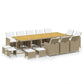 15-Delige Tuinset Met Kussens Poly Rattan Beige