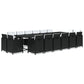 17-Delige Tuinset Met Kussens Poly Rattan Zwart