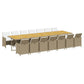 15-Delige Tuinset Met Kussens Poly Rattan Beige