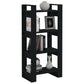 Boekenkast/Kamerscherm 60X35X125 Cm Massief Hout Zwart