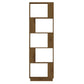 Boekenkast/Kamerscherm 51X25X163,5 Cm Grenenhout Honingbruin