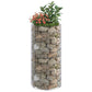Gabion Plantenbak Rond Verhoogd Ø50X100 Cm Gegalvaniseerd Staal