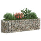 Gabion Plantenbak Verhoogd 190X50X50 Cm Gegalvaniseerd Ijzer