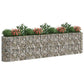 Gabion Plantenbak Verhoogd 400X50X100 Cm Gegalvaniseerd Ijzer