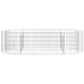Gabion Plantenbak Verhoogd 200X100X50 Cm Gegalvaniseerd Ijzer