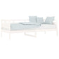 Slaapbank Massief Grenenhout Wit 80X200 Cm