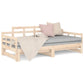 Slaapbank Uitschuifbaar Massief Grenenhout 2X(90X200) Cm
