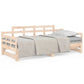 Slaapbank Uitschuifbaar Massief Grenenhout 2X(80X200) Cm