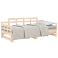 Slaapbank Uitschuifbaar Massief Grenenhout 2X(80X200) Cm