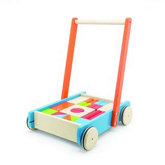 Pintoy Baby Walker Duwwagen Met Blokken