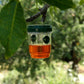 Genius Ideas Insectenval Op Zonne-Energie