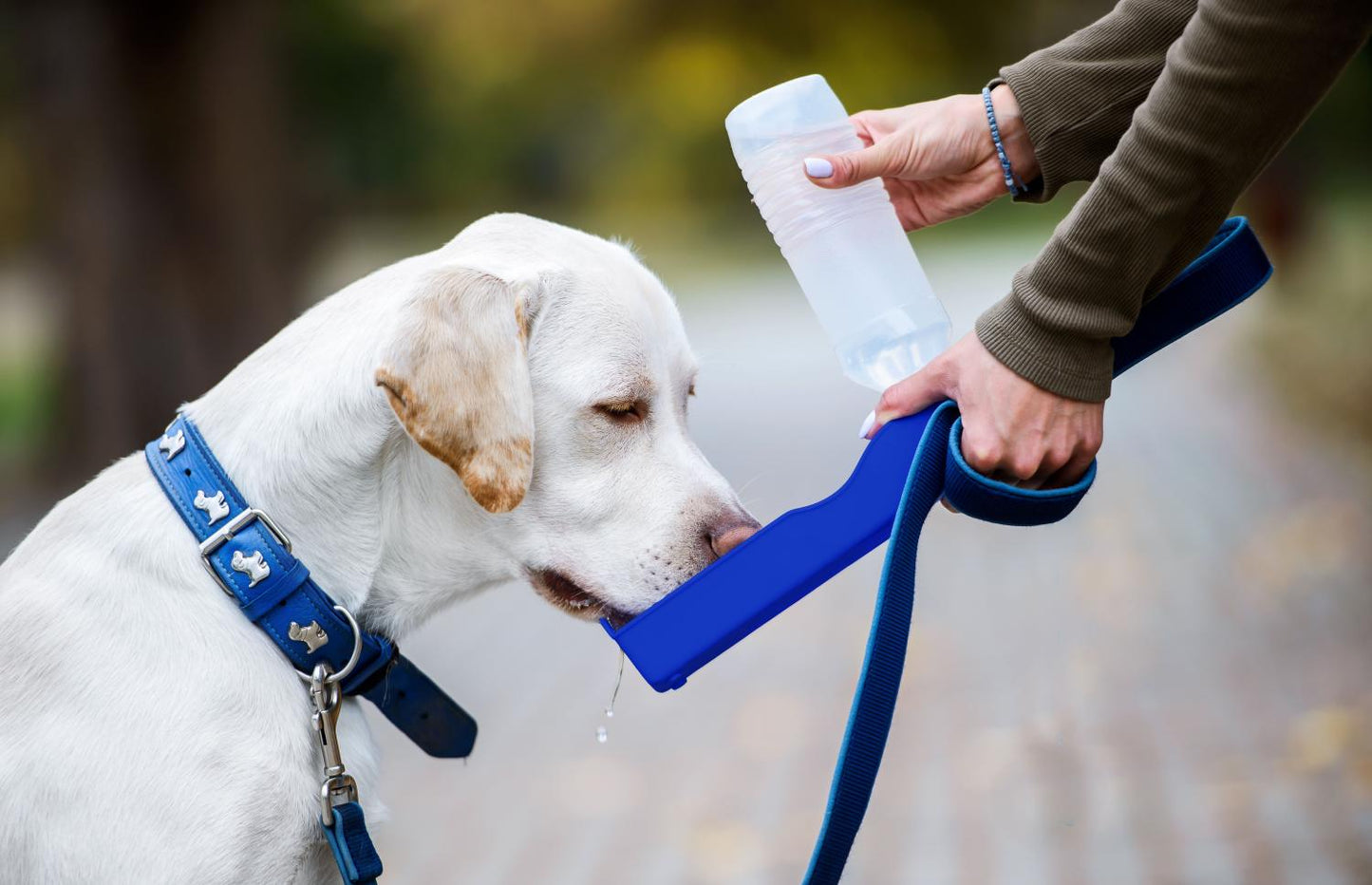 Genius Ideas Drinkfles Voor De Hond